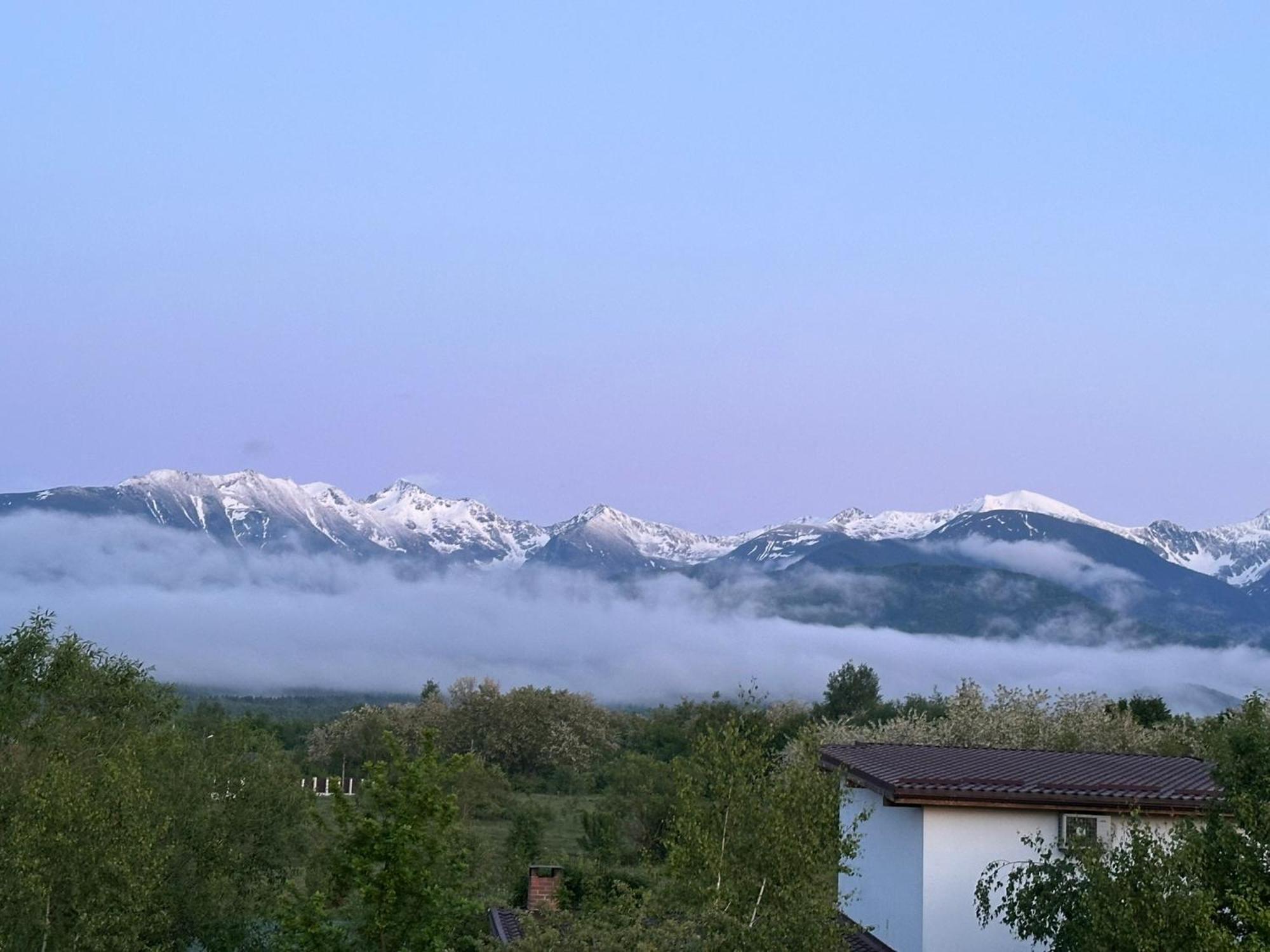 Epic House Valea Avrigului Βίλα Εξωτερικό φωτογραφία